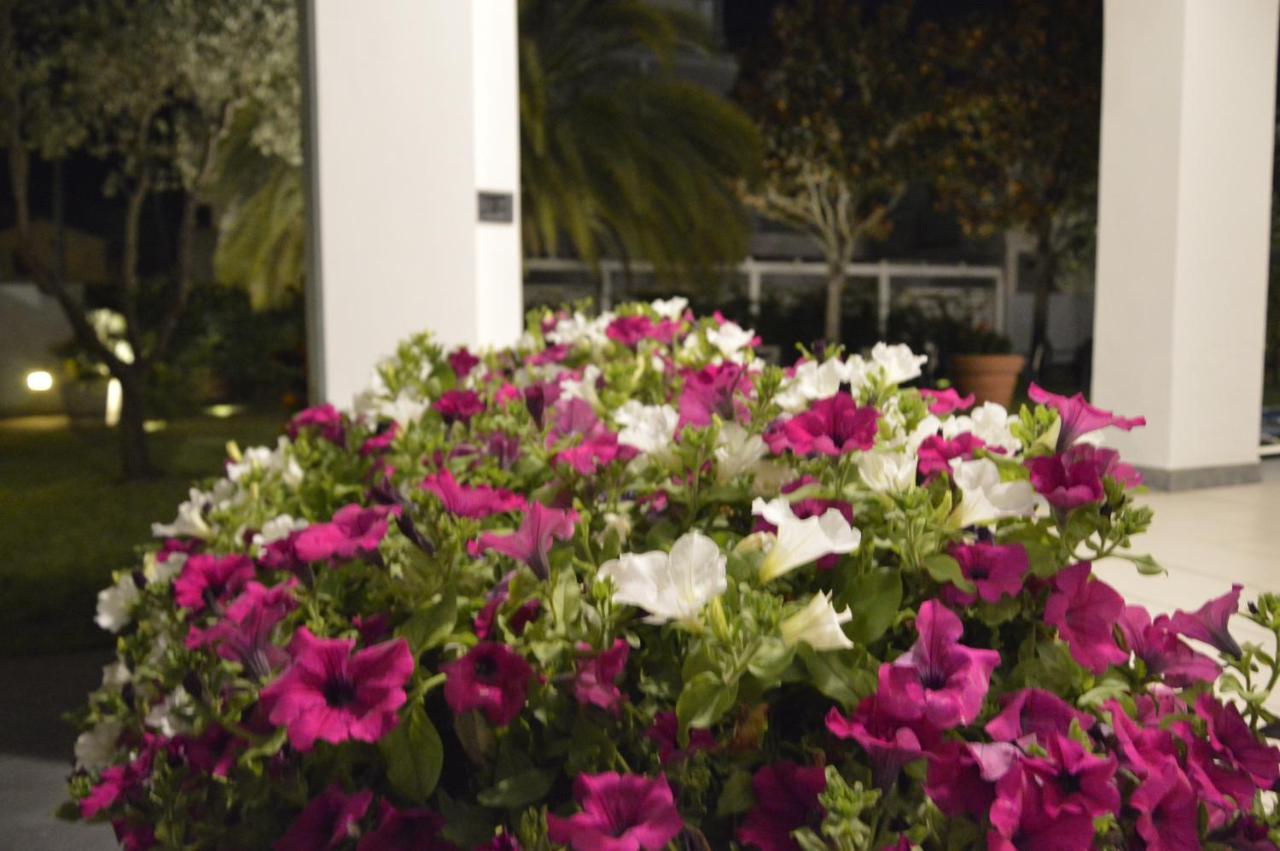 לידו די קאמאיורה Hotel Fortunella מראה חיצוני תמונה